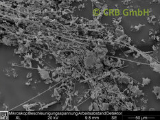 REM-Bild Amosit-Asbest in Kieselgur | © CRB Analyse Service GmbH