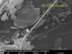 REM-Bild Anthophyllit-Asbest in Talkum | © CRB Analyse Service GmbH