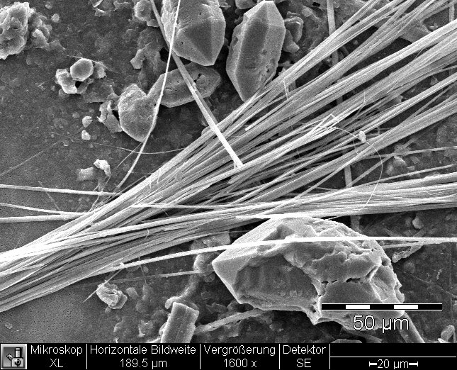 Anfibolasbestos, tremolita en yeso - resolución estándar: 654 x 522 px/tamaño de archivo aprox. 0,35 MB | © CRB Analysis Service GmbH